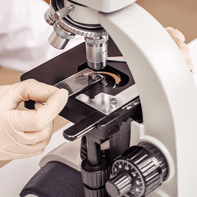 In-House Laboratory