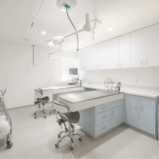 Advanced Dentistry